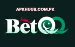 BetGG Game app interface showing features and beginner guide