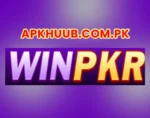 9WINPKR Game mobile casino app with online gaming and real money rewards